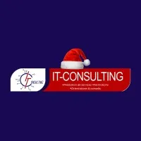 IT-CONSULTING GROUP CONGO