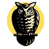 Owl Vision Consulting