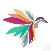 MagicWebTech Solutions