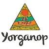 Yorganop Association Incorporated Yorganop Association Incorporated
