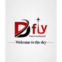 Dfly International