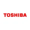 Toshiba America Energy Systems Toshiba America Energy Systems