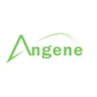 Angene International