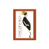 Junglewalla Natural History Tours SDN BHD Junglewalla Natural History Tours SDN BHD