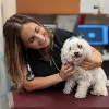 Senior Dog Veterinary Society Senior Dog Veterinary Society