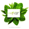 Ecoscapes Landscaping Pvt. Ltd.