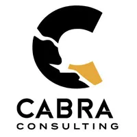 Cabra Consulting Ltd. Cabra Consulting Ltd.