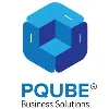 PQube Business Solutions Pvt Ltd PQube Business Solutions Pvt Ltd