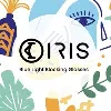 IRIS Eyewear IRIS Eyewear