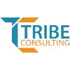 Tribe Consulting (Pvt.) Ltd. Tribe Consulting (Pvt.) Ltd.