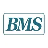 Building Maintenance Services, LLC