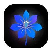 Azcera | Web Design for Construction Companies