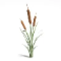 Mindful Therapy, LLC