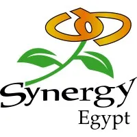 Synergy Egypt - سينرجي مصر