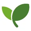 DebtSafe DebtSafe