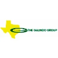 The Galindo Group