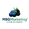 MBG Marketing® MBG Marketing®