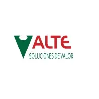 Alte S.A.