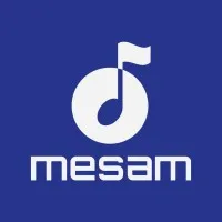 MESAM