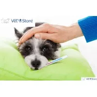 Anytime Vetstores - Vet Clinics