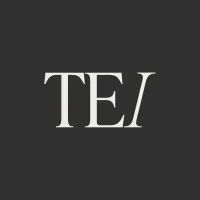 Third Eye Insights Inc.