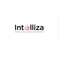 Intelliza Solutions Pvt Ltd