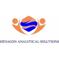 Hexagon Analytical Solutions Pvt. Ltd.