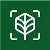 Working Trees