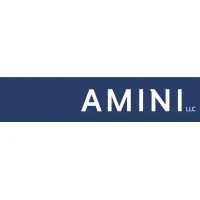 Amini LLC