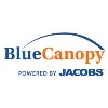 Blue Canopy Group, LLC
