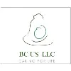 BC US LLC BC US LLC