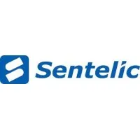 Sentelic Corporation