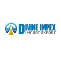 Divine Impex Services