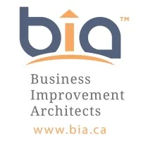 Business Improvement Architects