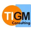 TIGM Consulting TIGM Consulting