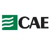 Advanced CAE Group Advanced CAE Group