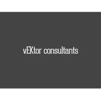vEKtor consultants