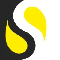 DS Digital Consulting, LLC