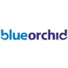 Blue Orchid Blue Orchid