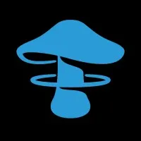 Understory Digital Asset Fund, LLC