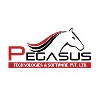 Pegasus Technologies & Software Pvt.Ltd. Pegasus Technologies & Software Pvt.Ltd.