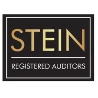 Stein Registered Auditors