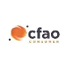 CFAO Consumer