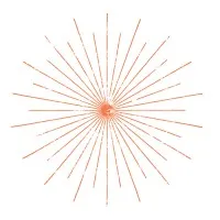 Common Spark Consulting Common Spark Consulting