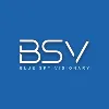 BSV BSV