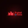 Digital Fortress Institute Digital Fortress Institute