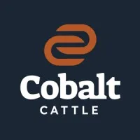 Cobalt Cattle Company LLC