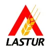 LASTUR SA DE CV LASTUR SA DE CV