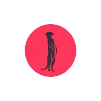 Suricata Labs