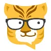 BitTiger BitTiger